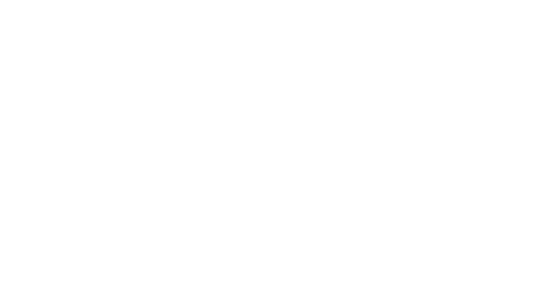 AVL Productions